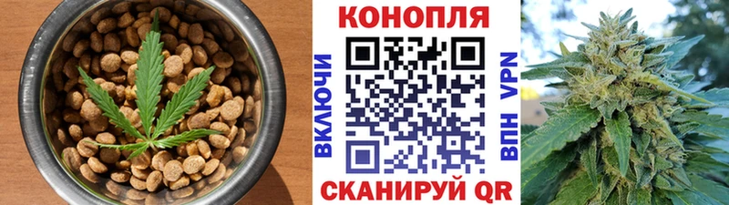 где можно купить наркотик  Сегежа  Печенье с ТГК конопля 