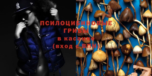 apvp Покровск