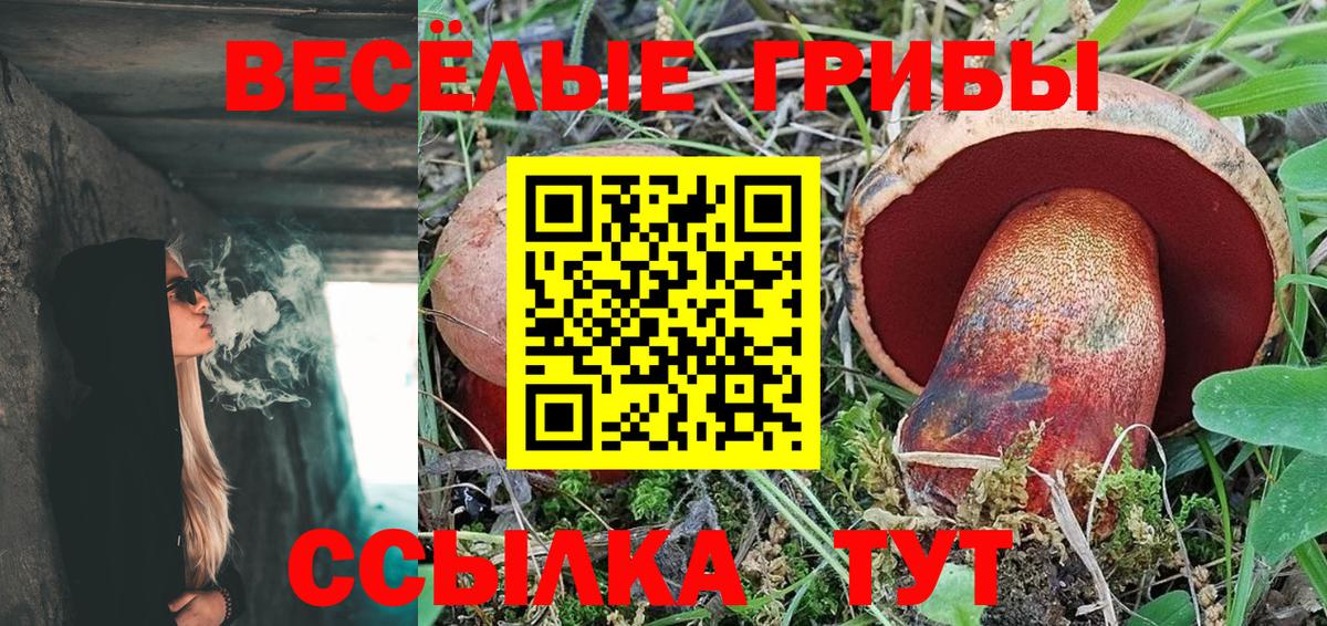 как найти закладки  Псилоцибиновые грибы Psilocybine cubensis  Галлюциногенные грибы прущие грибы  Вход с VPN  Сегежа 